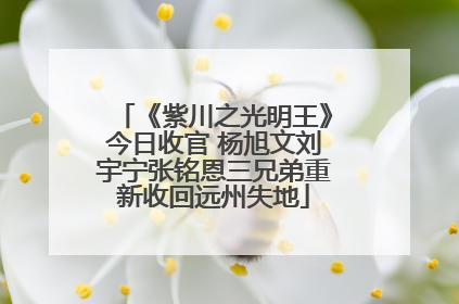 《紫川之光明王》今日收官 杨旭文刘宇宁张铭恩三兄弟重新收回远州失地