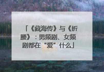 《藏海传》与《折腰》：男频剧、女频剧都在“爱”什么