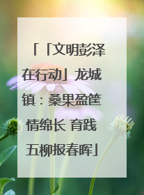 「文明彭泽在行动」龙城镇：桑果盈筐情绵长 育践五柳报春晖