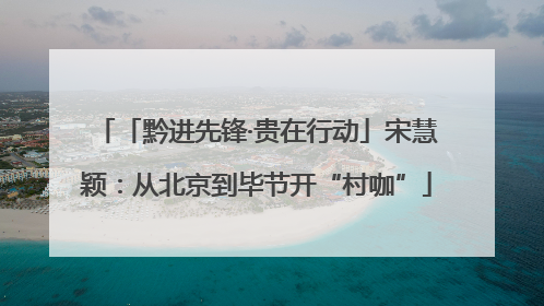 「黔进先锋·贵在行动」宋慧颖：从北京到毕节开“村咖”