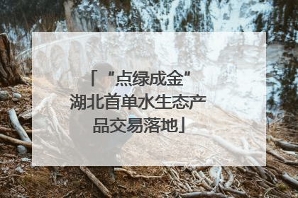“点绿成金” 湖北首单水生态产品交易落地