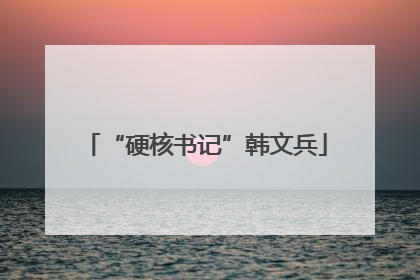 “硬核书记”韩文兵