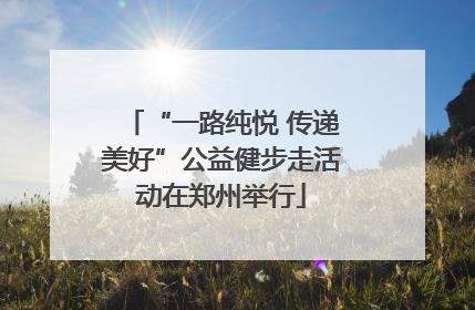 “一路纯悦 传递美好”公益健步走活动在郑州举行