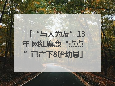 “与人为友”13年 网红麋鹿“点点”已产下8胎幼崽