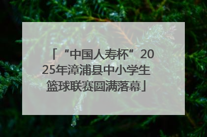 “中国人寿杯”2025年漳浦县中小学生篮球联赛圆满落幕
