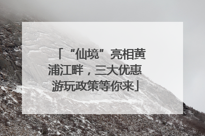 “仙境”亮相黄浦江畔，三大优惠游玩政策等你来