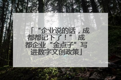 “企业说的话，成都都记下了！” 成都企业“金点子”写进数字文创政策