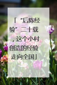 “后陈经验”二十载，这个小村创造的经验走向全国