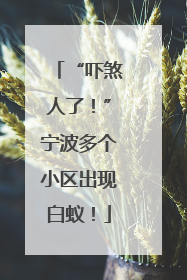 “吓煞人了！”宁波多个小区出现白蚁！