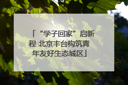 “学子回家”启新程 北京丰台构筑青年友好生态城区