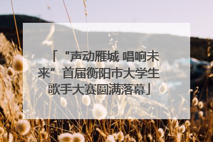 “声动雁城 唱响未来”首届衡阳市大学生歌手大赛圆满落幕