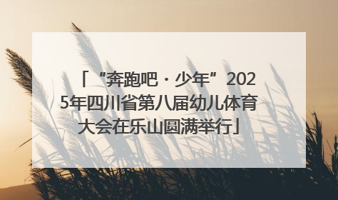 “奔跑吧・少年”2025年四川省第八届幼儿体育大会在乐山圆满举行