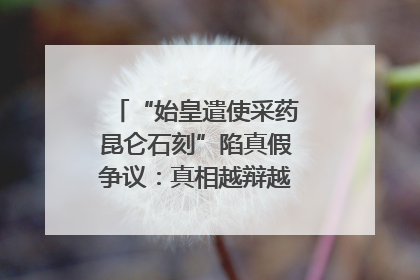 “始皇遣使采药昆仑石刻”陷真假争议：真相越辩越明｜新京报专栏
