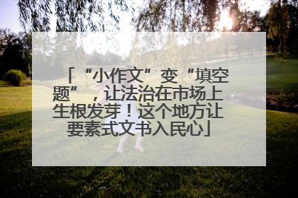 “小作文”变“填空题”，让法治在市场上生根发芽！这个地方让要素式文书入民心