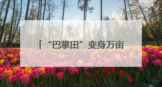 “巴掌田”变身万亩良田 四川合江耕地面积连续三年净增长