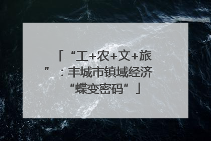 “工+农+文+旅”：丰城市镇域经济“蝶变密码”
