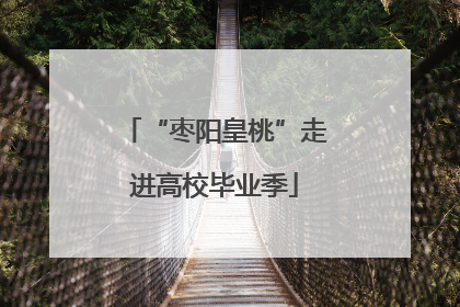 “枣阳皇桃”走进高校毕业季