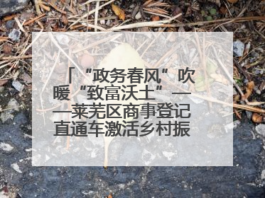 “政务春风”吹暖“致富沃土”——莱芜区商事登记直通车激活乡村振兴“一池春水”