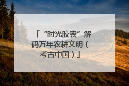 “时光胶囊”解码万年农耕文明（考古中国）