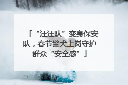 “汪汪队”变身保安队，春节警犬上岗守护群众“安全感”