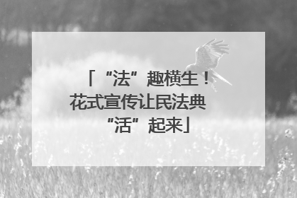 “法”趣横生！花式宣传让民法典“活”起来