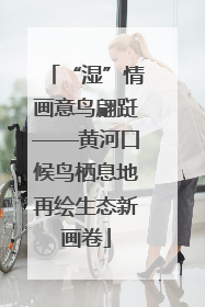“湿”情画意鸟翩跹——黄河口候鸟栖息地再绘生态新画卷
