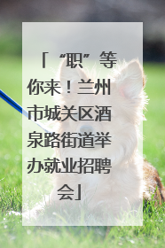 “职”等你来！兰州市城关区酒泉路街道举办就业招聘会