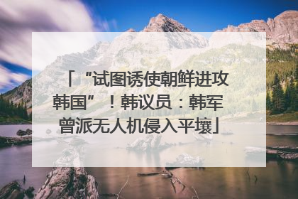 “试图诱使朝鲜进攻韩国”！韩议员：韩军曾派无人机侵入平壤