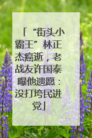 “街头小霸王”林正杰癌逝，老战友许国泰曝他遗愿：没打垮民进党