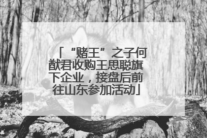 “赌王”之子何猷君收购王思聪旗下企业，接盘后前往山东参加活动