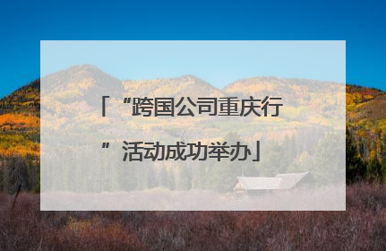 “跨国公司重庆行”活动成功举办