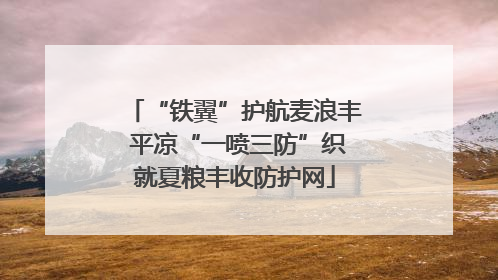 “铁翼”护航麦浪丰 平凉“一喷三防”织就夏粮丰收防护网