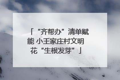“齐帮办”清单赋能 小王家庄村文明花“生根发芽”
