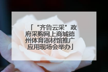 “齐鲁云采”政府采购网上商城德州体育器材馆推广应用现场会举办