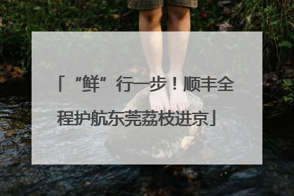 “鲜”行一步！顺丰全程护航东莞荔枝进京