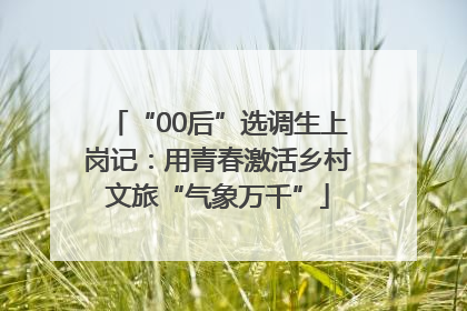 “00后”选调生上岗记：用青春激活乡村文旅“气象万千”