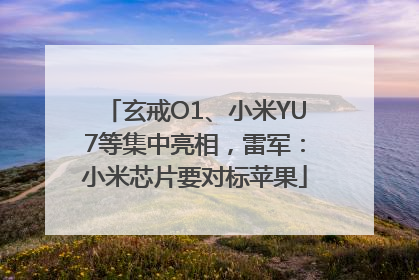 玄戒O1、小米YU7等集中亮相，雷军：小米芯片要对标苹果