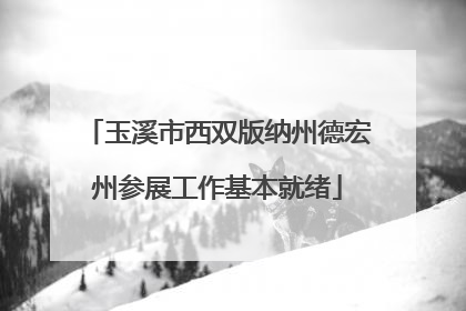 玉溪市西双版纳州德宏州参展工作基本就绪