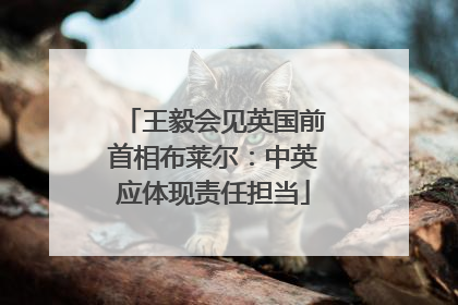 王毅会见英国前首相布莱尔：中英应体现责任担当