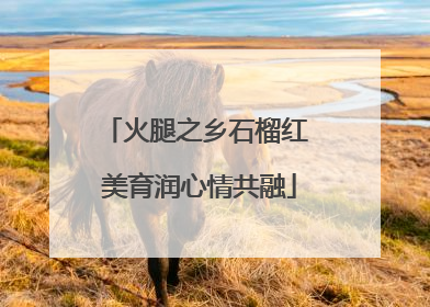 火腿之乡石榴红 美育润心情共融