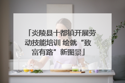 炎陵县十都镇开展劳动技能培训 绘就“致富有路”新图景