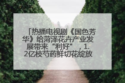 热播电视剧《国色芳华》给菏泽花卉产业发展带来“利好”，1.2亿枝芍药鲜切花绽放“国色芳华”