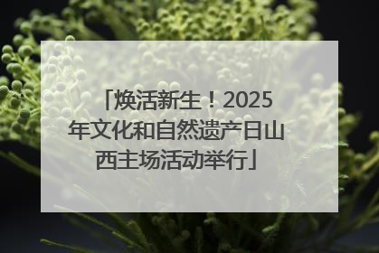 焕活新生！2025年文化和自然遗产日山西主场活动举行