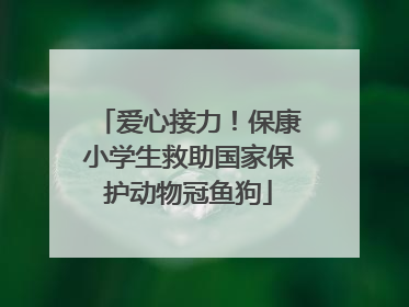 爱心接力!保康小学生救助国家保护动物冠鱼狗