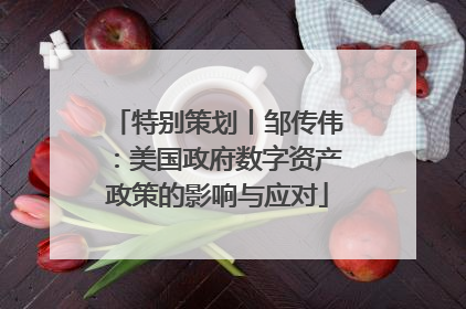 特别策划丨邹传伟：美国政府数字资产政策的影响与应对