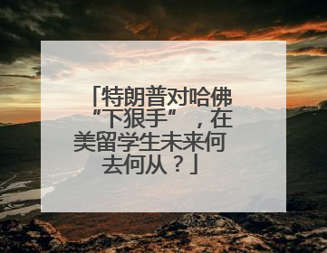 特朗普对哈佛“下狠手”，在美留学生未来何去何从？