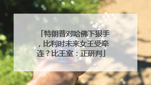 特朗普对哈佛下狠手，比利时未来女王受牵连？比王室：正研判