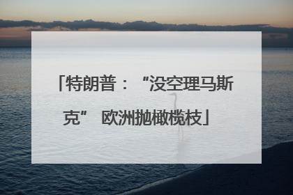 特朗普：“没空理马斯克” 欧洲抛橄榄枝
