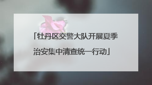 牡丹区交警大队开展夏季治安集中清查统一行动