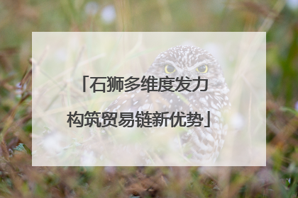 石狮多维度发力 构筑贸易链新优势
